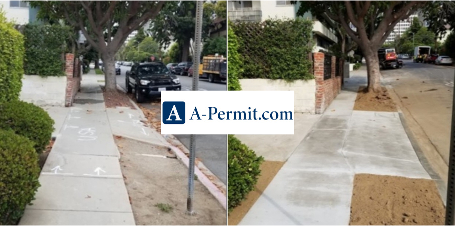 Echo Park Sidewalk Repair Program